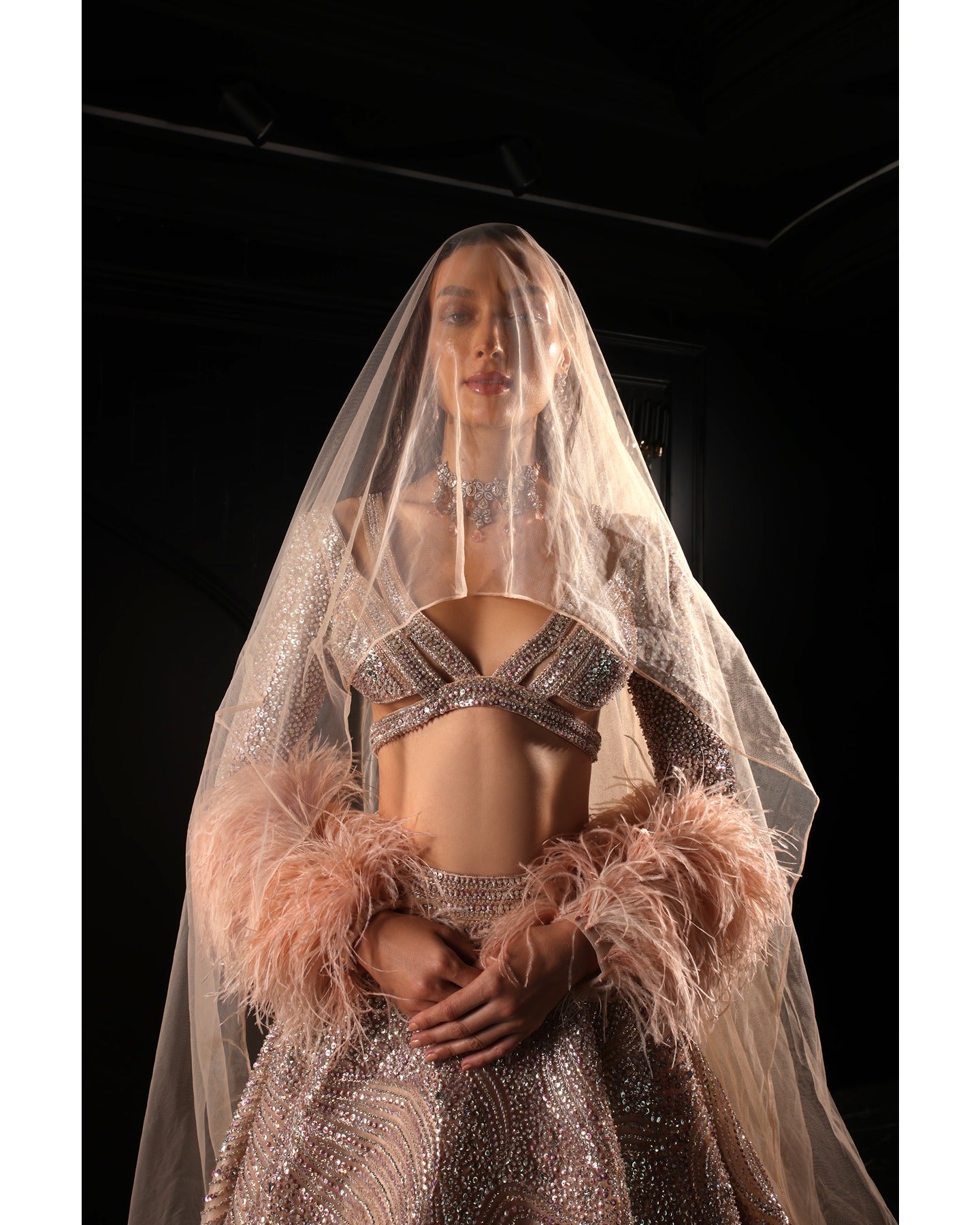 Nude Pink Choli Lehenga Set