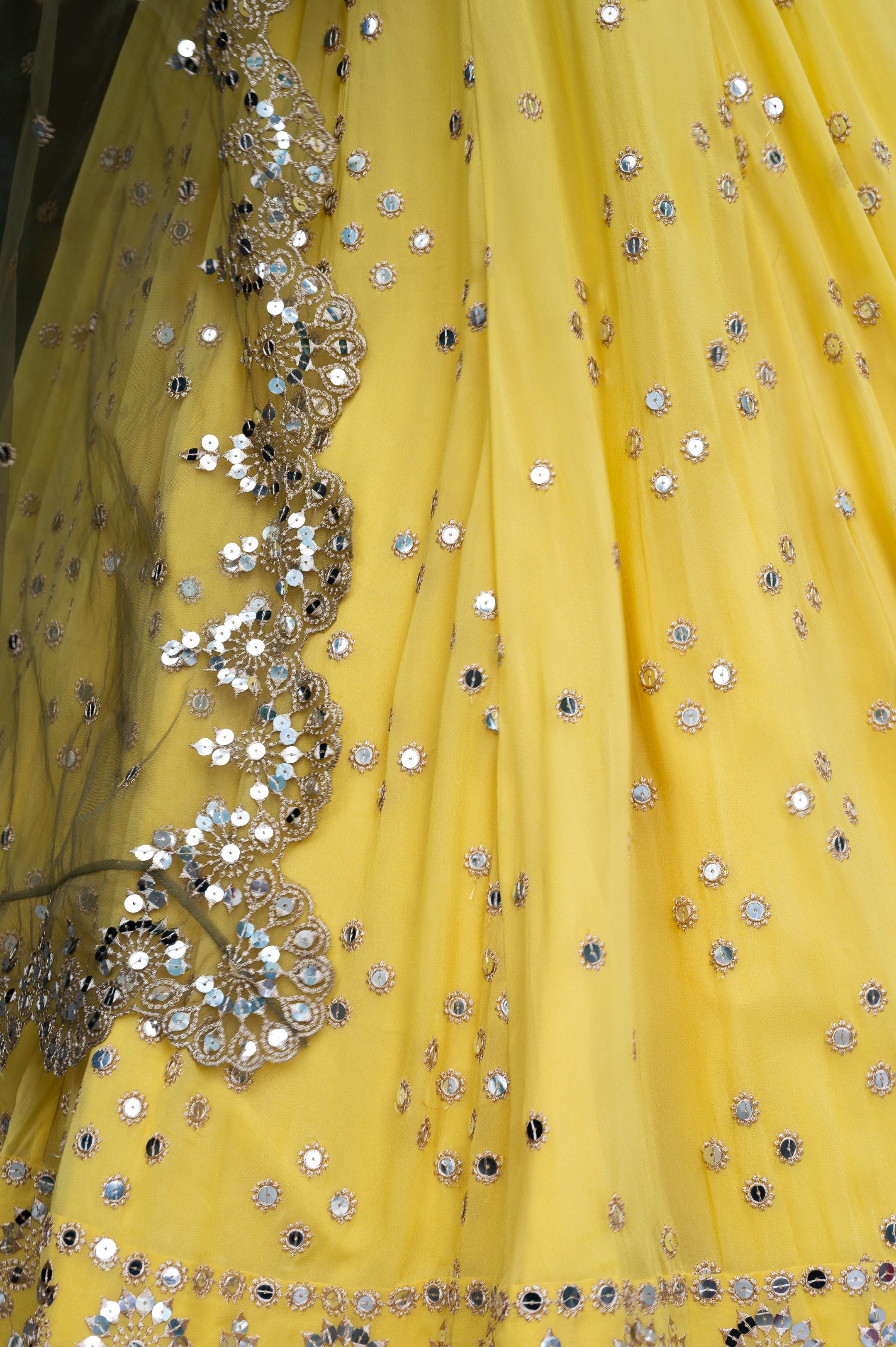 Aleanor Lehenga