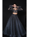 Draped in elegance, the Charcoal Blue Lehenga whispers tales of sophistication and grace. 