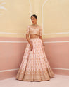 Stunning pink raw silk lehenga set featuring traditional motif