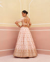 Stunning pink raw silk lehenga set featuring traditional motif