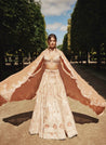 Elegant rust and beige lehenga set, adorned with delicate hand embroidery. The luxurious raw silk and velvet lehenga is complemented by a net blouse and a shimmering silk dupatta.