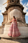 Full-sleeve red lehenga set in carnelian red, featuring intricate hand embroidery and pearl embellishments, crafted from luxurious raw silk and velvet, paired with a sheer net full-sleeve blouse and dupatta