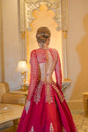 Ruby red lehenga with box pleats, gold embroidery, and a velvet drop patch, complemented by a net blouse and pearl-tassel embroidered dupatta