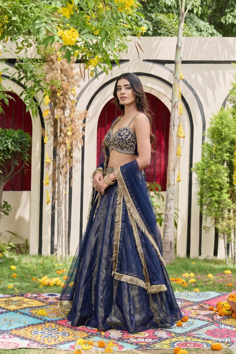 Navy blue bustier and shimmer organza lehnga set