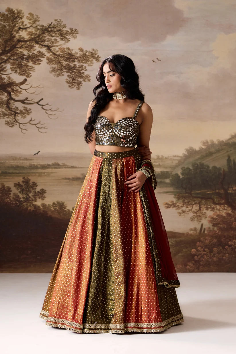 Olive green embroidered blouse and cosmos multipanel lehnga set