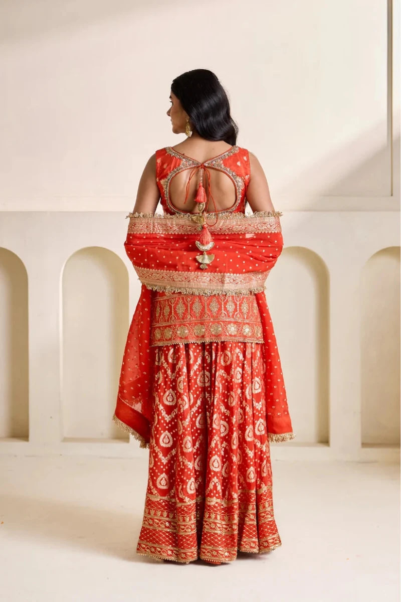 Rust orange banarsi kurti and sharara set