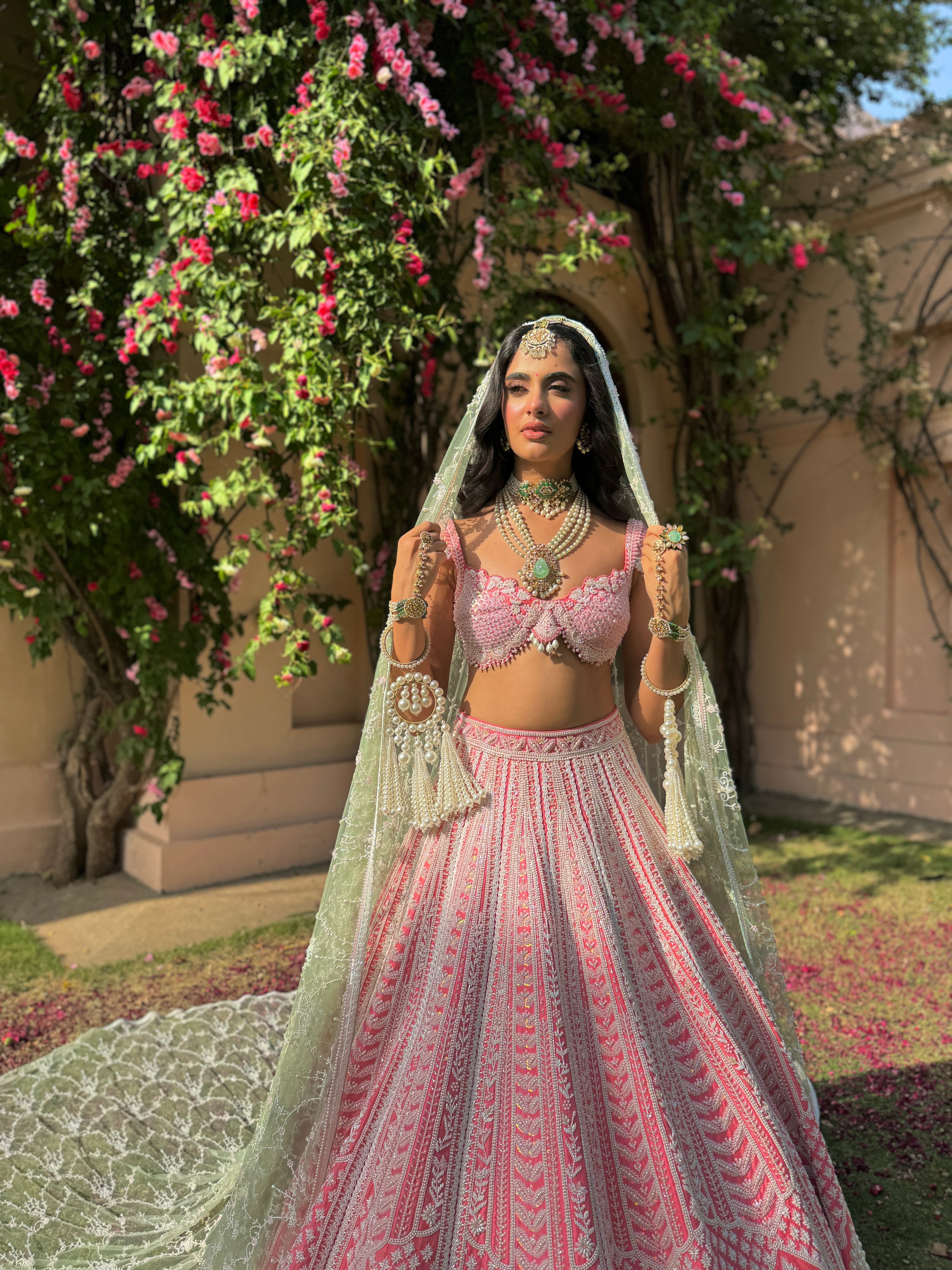 Tulika Lehenga Set