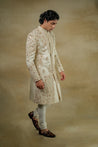 Model wearing the Butter Cream Sherwani, radiating elegance with its creamy hue.