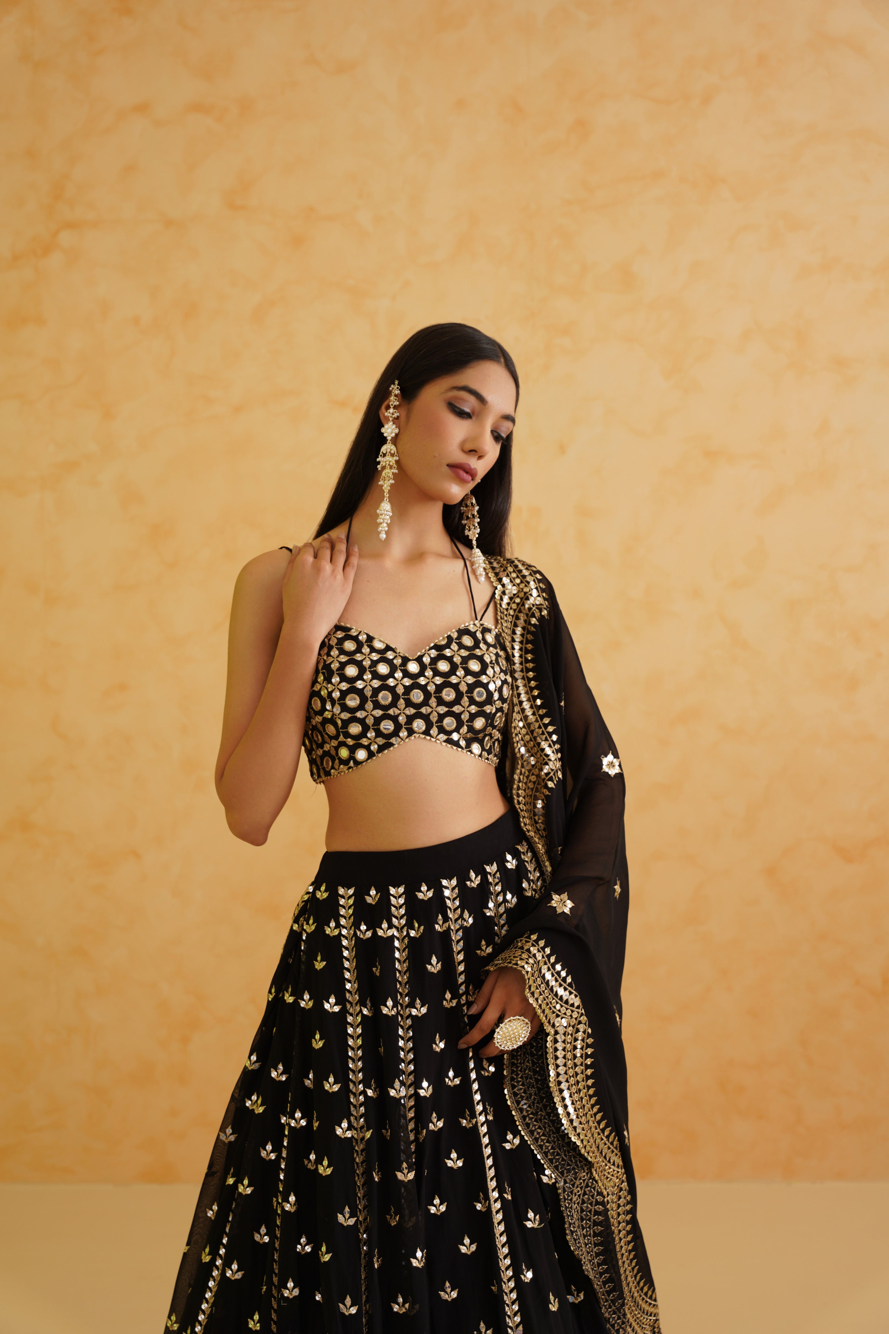 Elegant black georgette lehenga adorned with intricate crystal, patra, and zari embroidery, paired with a stylish matching blouse.