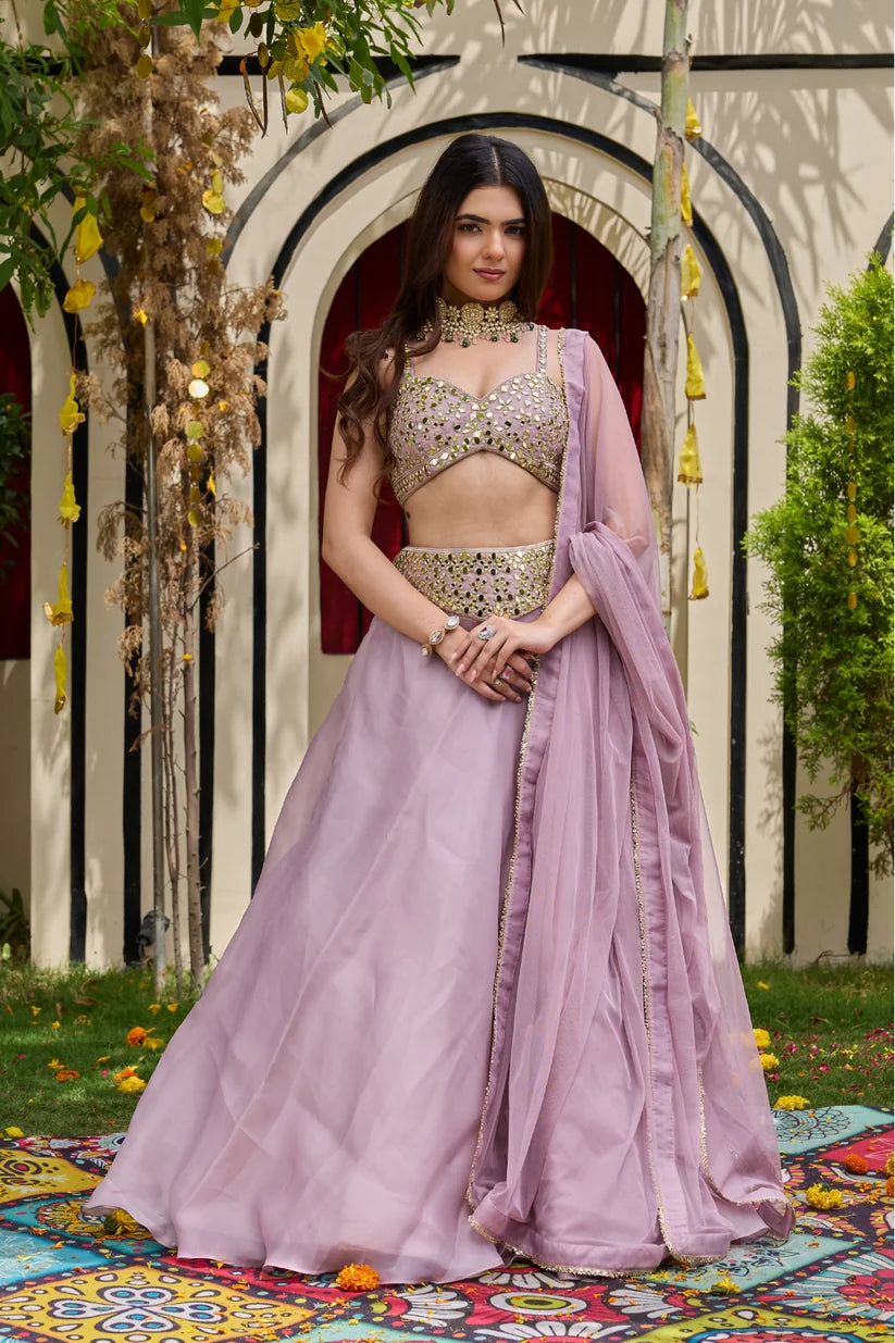Mauve Mirror-Encrusted Bustier & Organza Lehenga Set