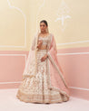 Elegant ivory raw silk lehenga set with intricate silver embroidery