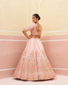 Sophisticated pink raw silk lehenga set with a timeless appeal