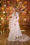 Baby Pink Netted Lehenga Choli with heavy Crystal and Sequins handwork