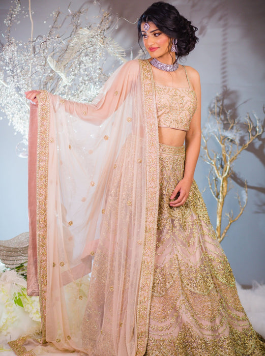 Nude net designer Lehenga choli with heavy Zari, Crystal & Sequins embroidery