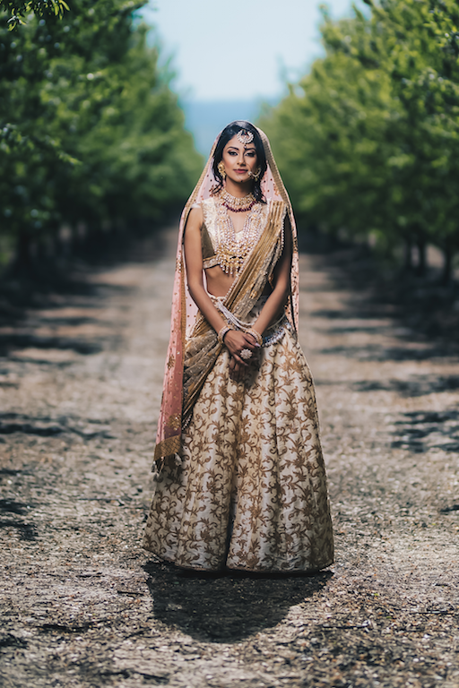 Buy Custom Stitched Indian Bridal Lehenga Choli Handmade Embroidered Gown  for Woman Pakistani Wedding Dress Pakistani Style Wedding Gown Online in  India - Etsy