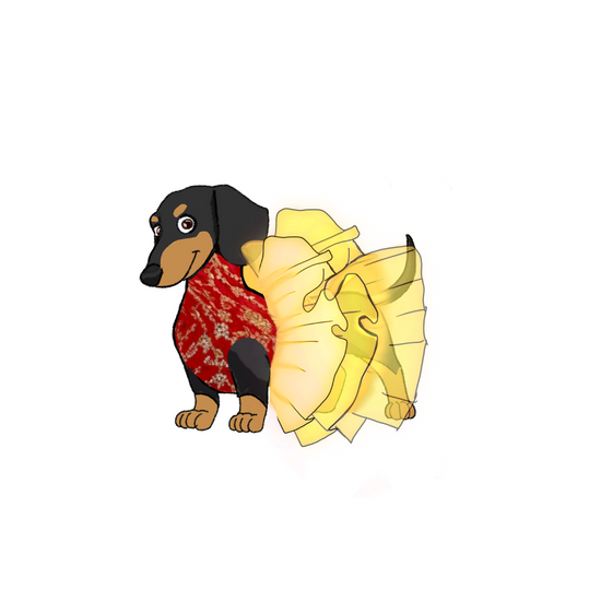 Frilled dog/cat lehenga - Indian customized pet apparel