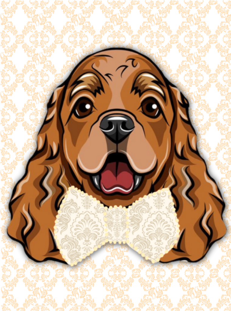 Dex Pets Bow Tie