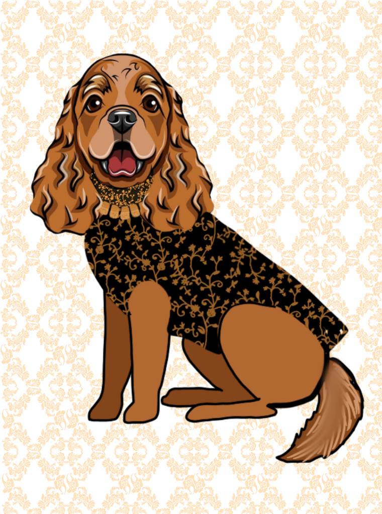 Buddy Pets Sherwani
