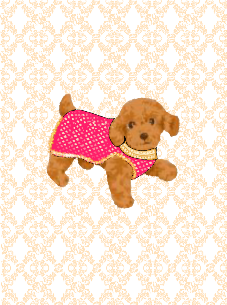 Load image into Gallery viewer, Cat or Dog Sherwani - Indian pet clothing to match your bridal outfit
