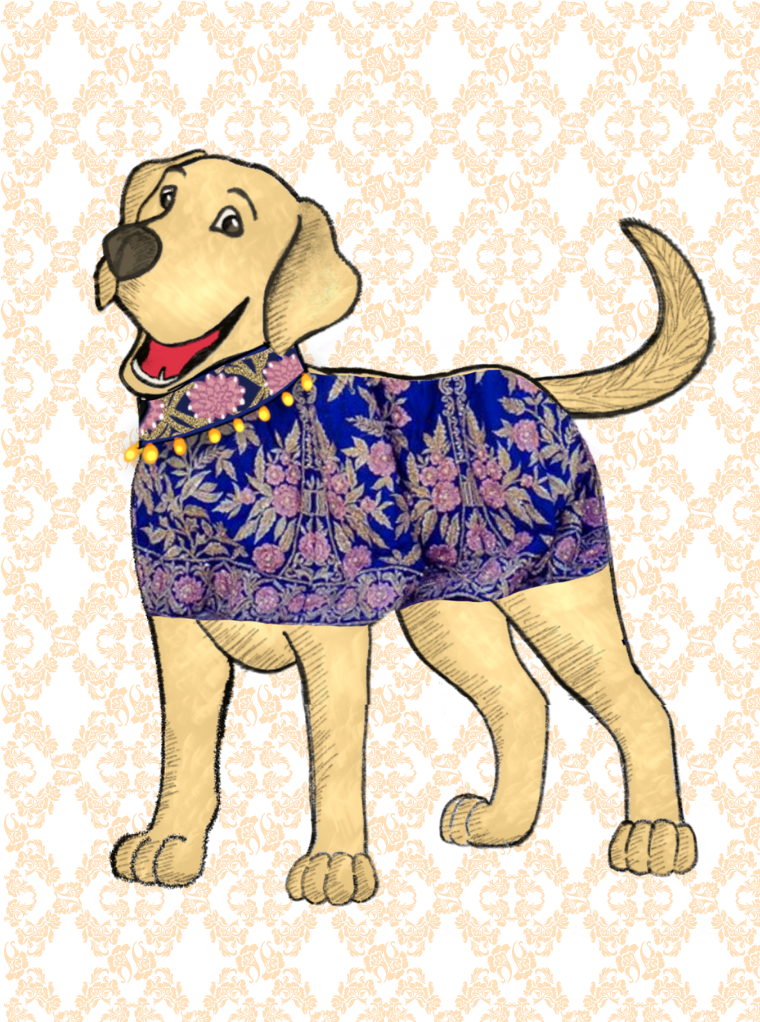 Dog/ Cat Sherwani - Indian customized pet apparel