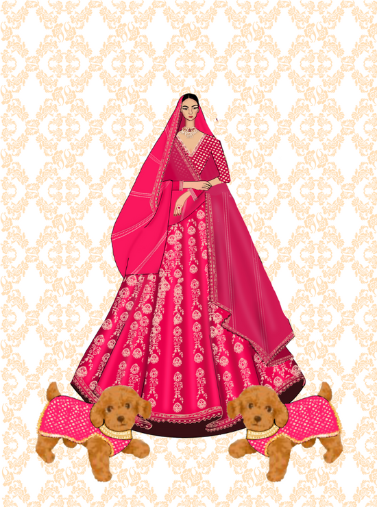 Load image into Gallery viewer, Ethnic pet clothes - Cat/ Dog lehenga to match your bridalwear
