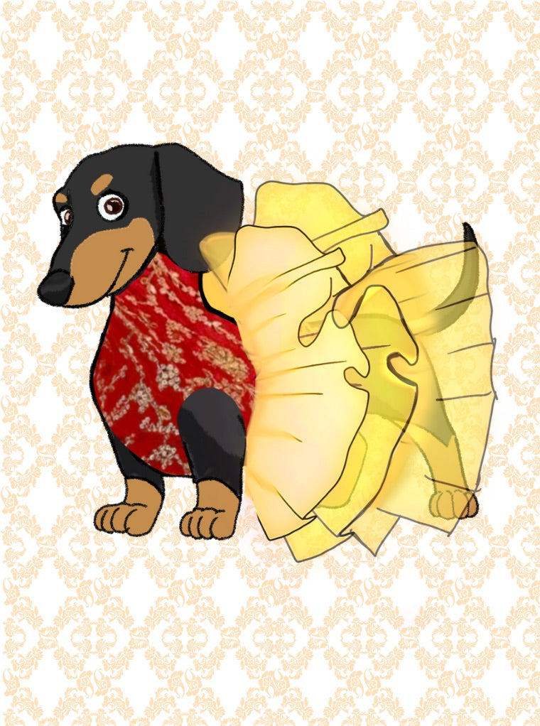 Dog Lehenga - Ethnic pets clothing customized to match your bridal apparel