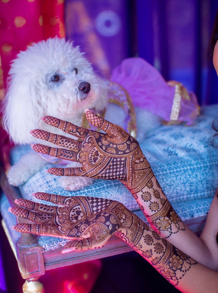 Load image into Gallery viewer, Matching pet clothes for your Indian bridal party
