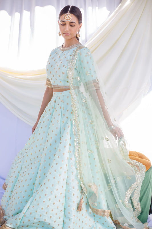 Pastel Blue Lehenga Raw silk monochrome zardosi work lengha B Anu