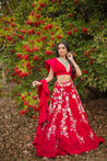Hot pink Velvet Embroidered Lehenga choli with attached frill dupatta