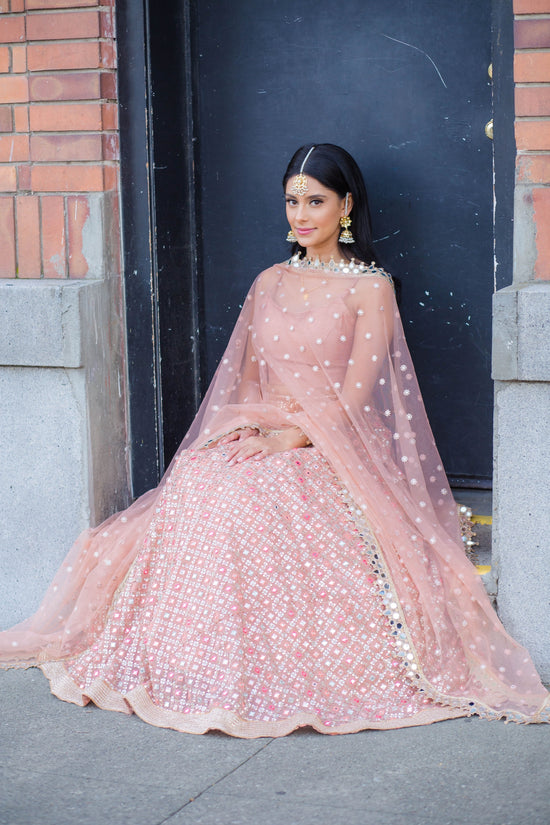Pastel Mousse lehenga choli with sequins & mirror handwork