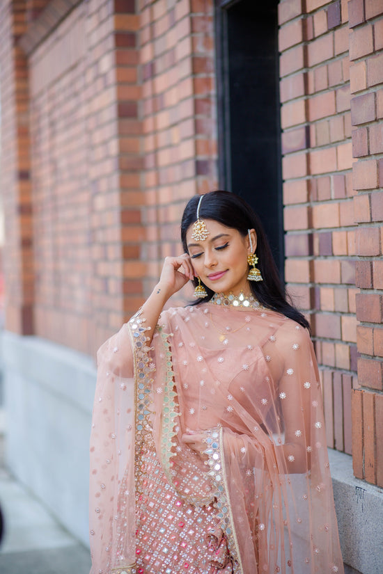 Pastel Mousse lehenga choli with sequins & mirror handwork