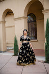 Black Velvet Lehenga with choli blouse & gold Sequins embroidery