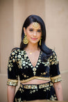 Black Velvet Lehenga with choli blouse & gold Sequins embroidery
