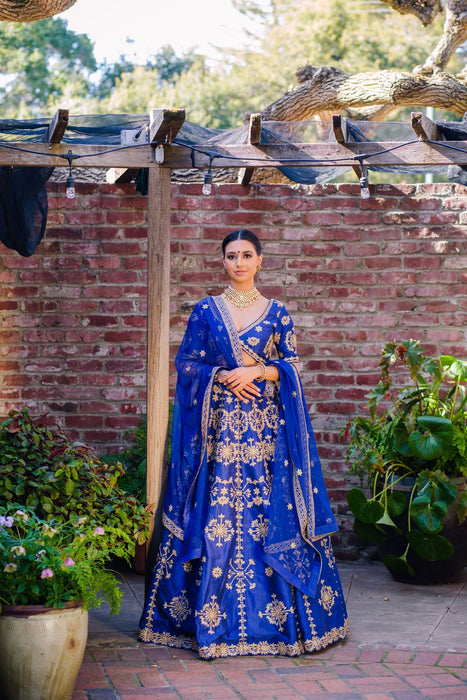 Aryana - Sample Sale Lengha