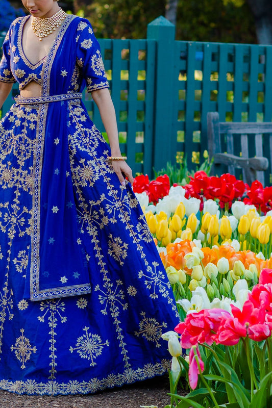Aryana - Sample Sale Lengha
