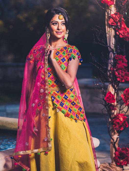 Phulkari  Lengha - bAnuDesigns