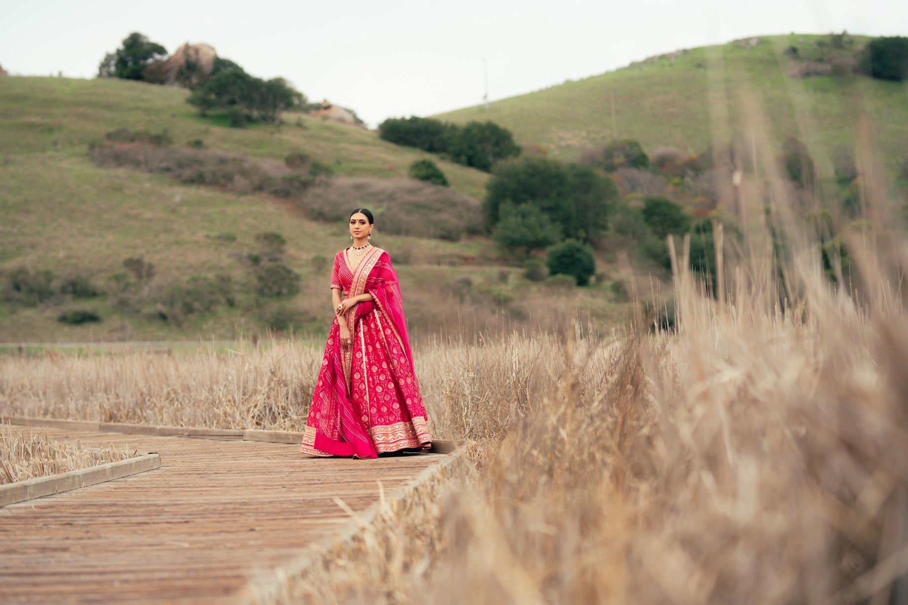 Traditional Fusia Pink Brocade Lehenga choli with embellished border